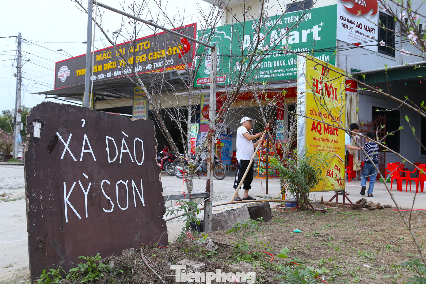 Quất sale đồng giá, đào xả kịch sàn vẫn vắng khách ngày 27 Tết - Ảnh 11