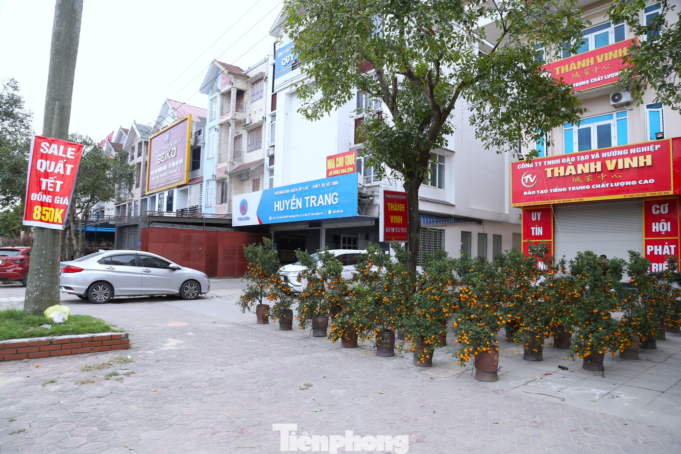 Quất sale đồng giá, đào xả kịch sàn vẫn vắng khách ngày 27 Tết - Ảnh 5