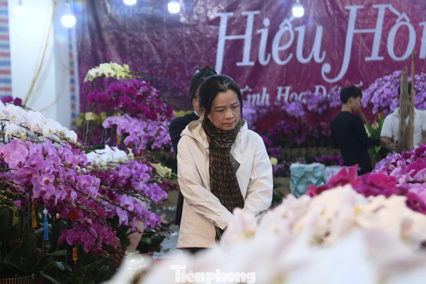 Quất sale đồng giá, đào xả kịch sàn vẫn vắng khách ngày 27 Tết - Ảnh 9