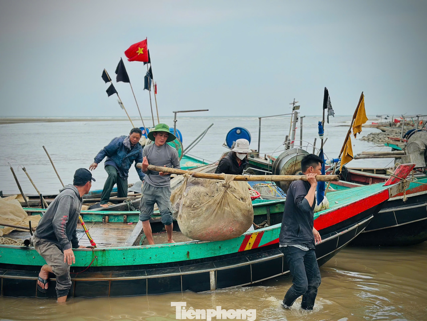 Ngư dân trúng 'lộc biển' đầu năm, thu tiền triệu mỗi ngày - Ảnh 9