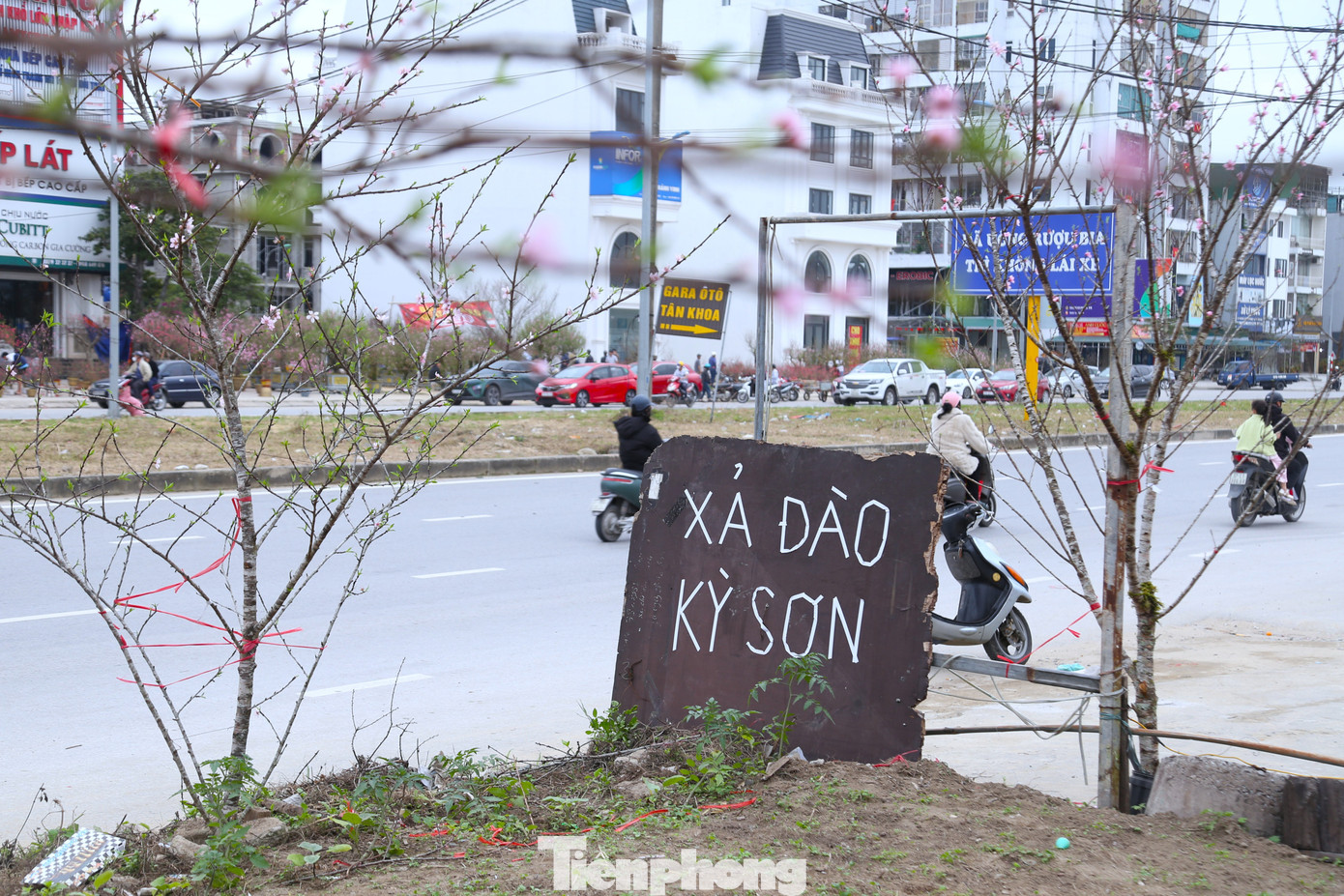 Quất sale đồng giá, đào xả kịch sàn vẫn vắng khách ngày 27 Tết - Ảnh 12