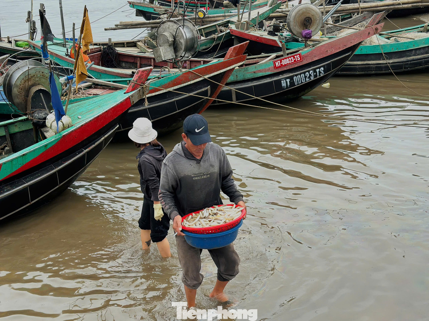 Ngư dân trúng 'lộc biển' đầu năm, thu tiền triệu mỗi ngày - Ảnh 10