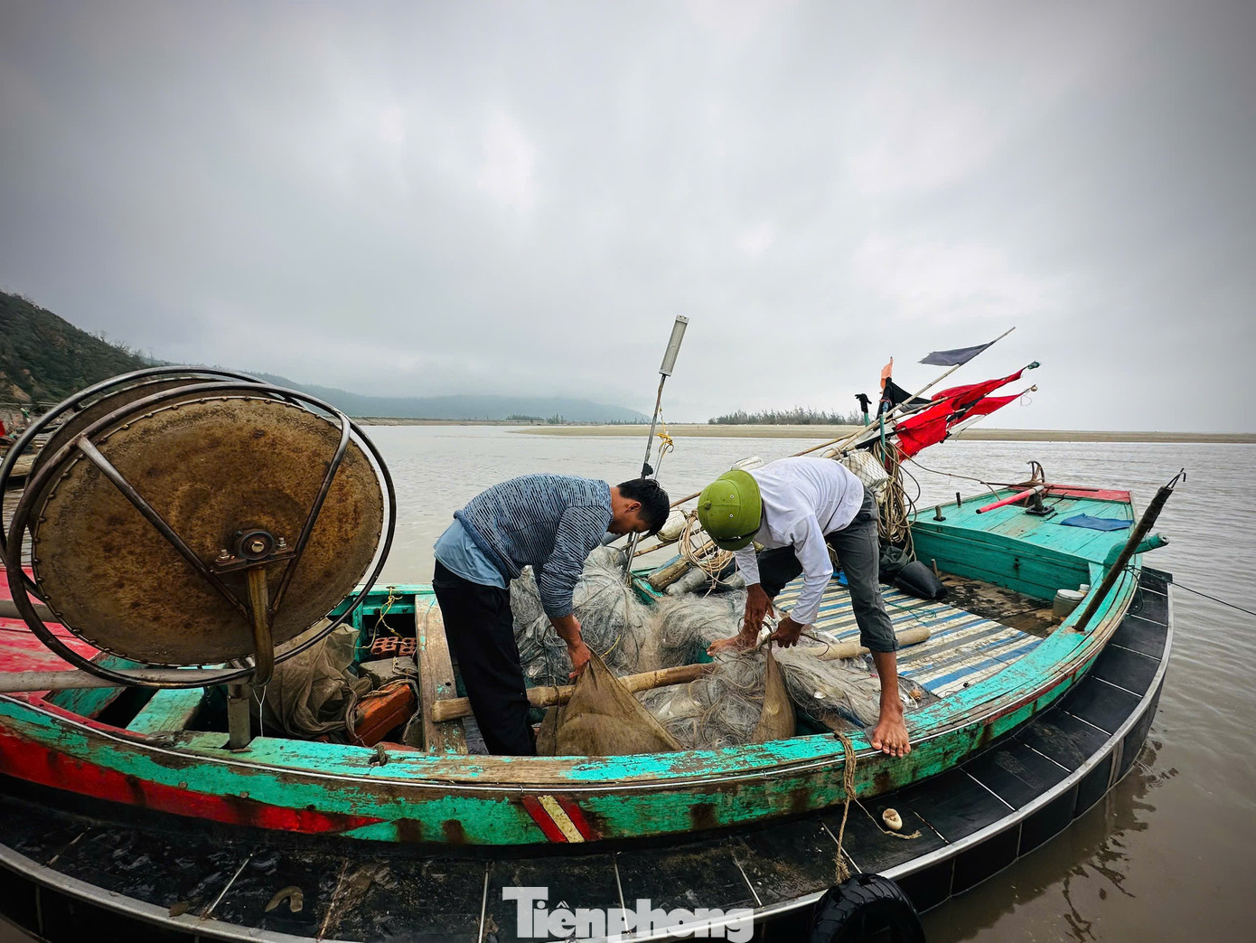 Ngư dân trúng 'lộc biển' đầu năm, thu tiền triệu mỗi ngày - Ảnh 3