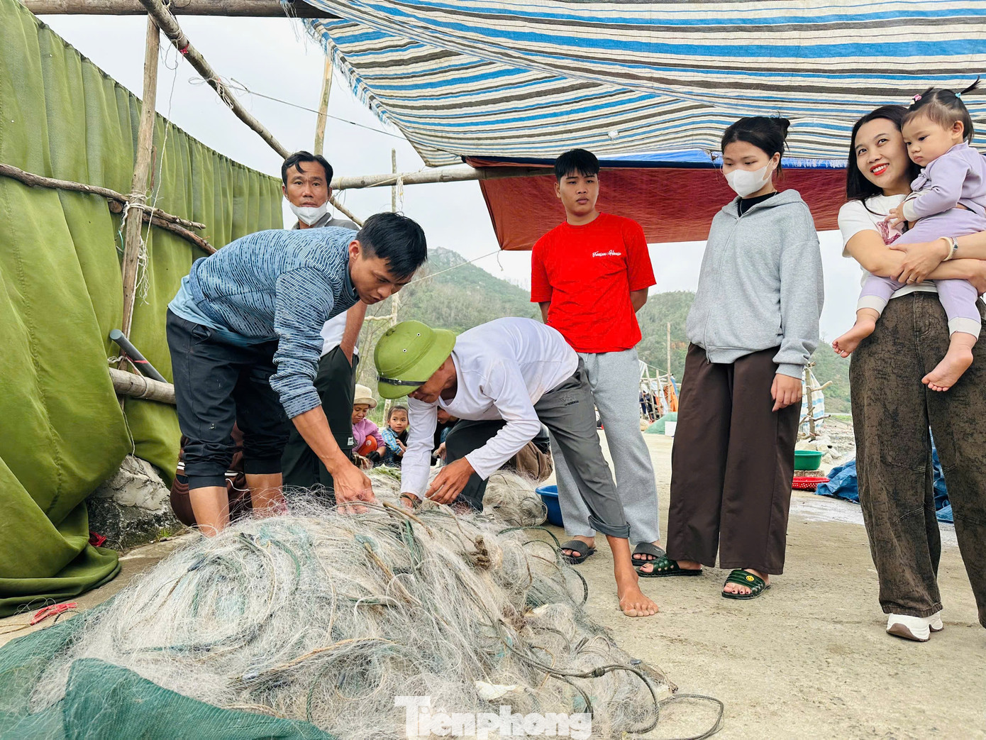 Ngư dân trúng 'lộc biển' đầu năm, thu tiền triệu mỗi ngày - Ảnh 2