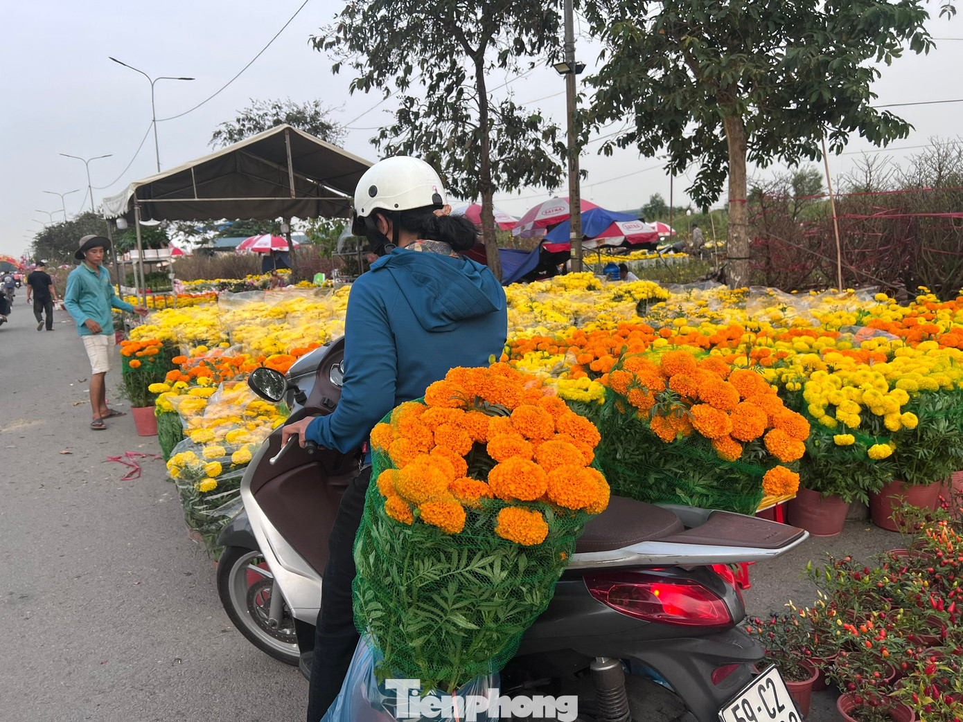 Giá rẻ khó tin: Hoa Tết chỉ 20.000 đồng/chậu ở TPHCM - Ảnh 14