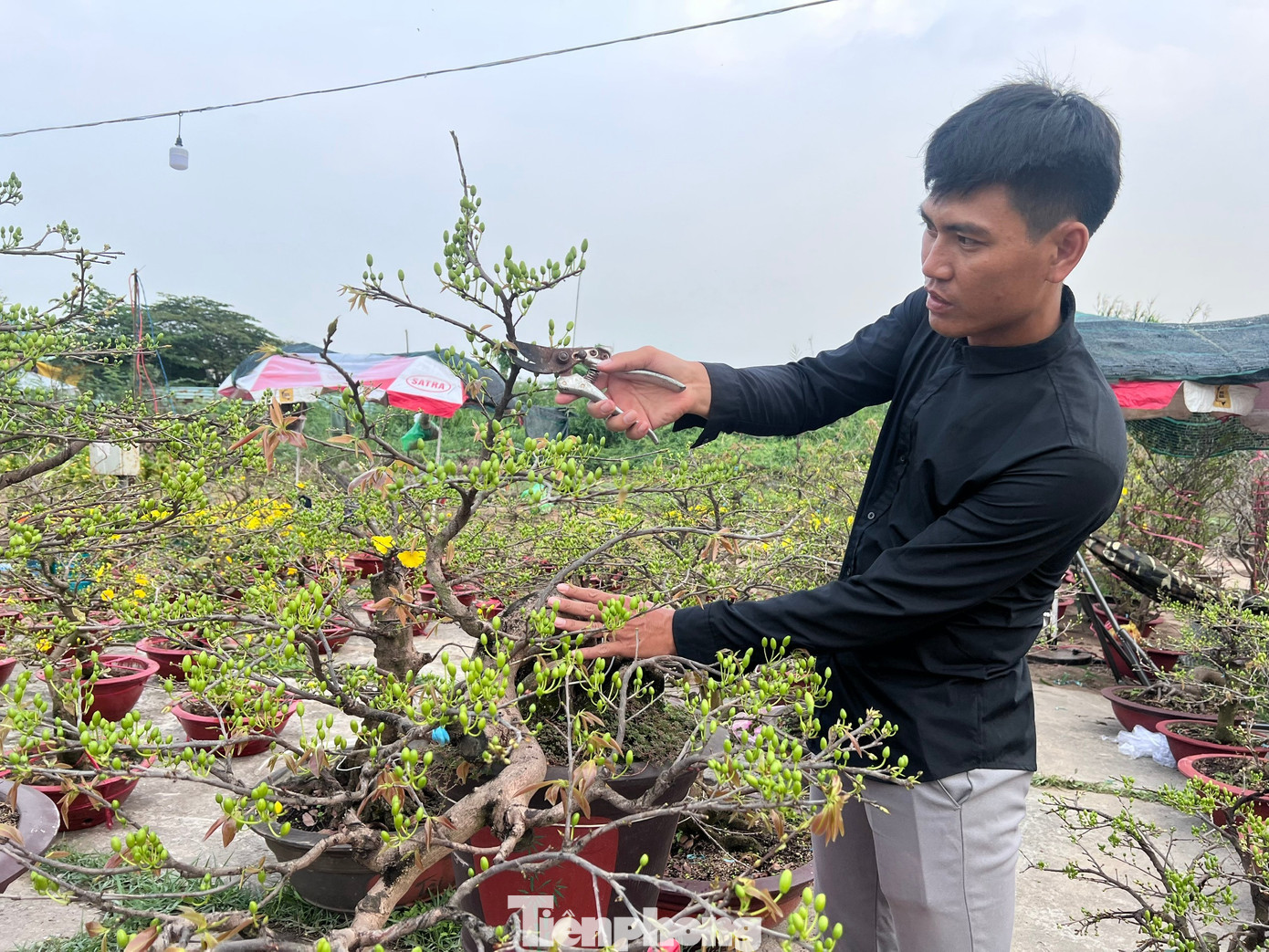 Giá rẻ khó tin: Hoa Tết chỉ 20.000 đồng/chậu ở TPHCM - Ảnh 23