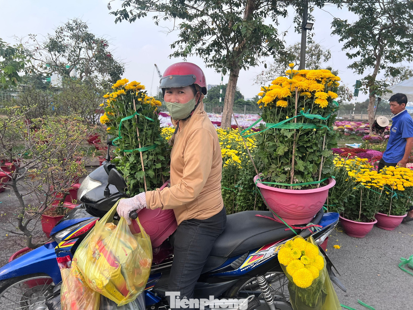 Giá rẻ khó tin: Hoa Tết chỉ 20.000 đồng/chậu ở TPHCM - Ảnh 13