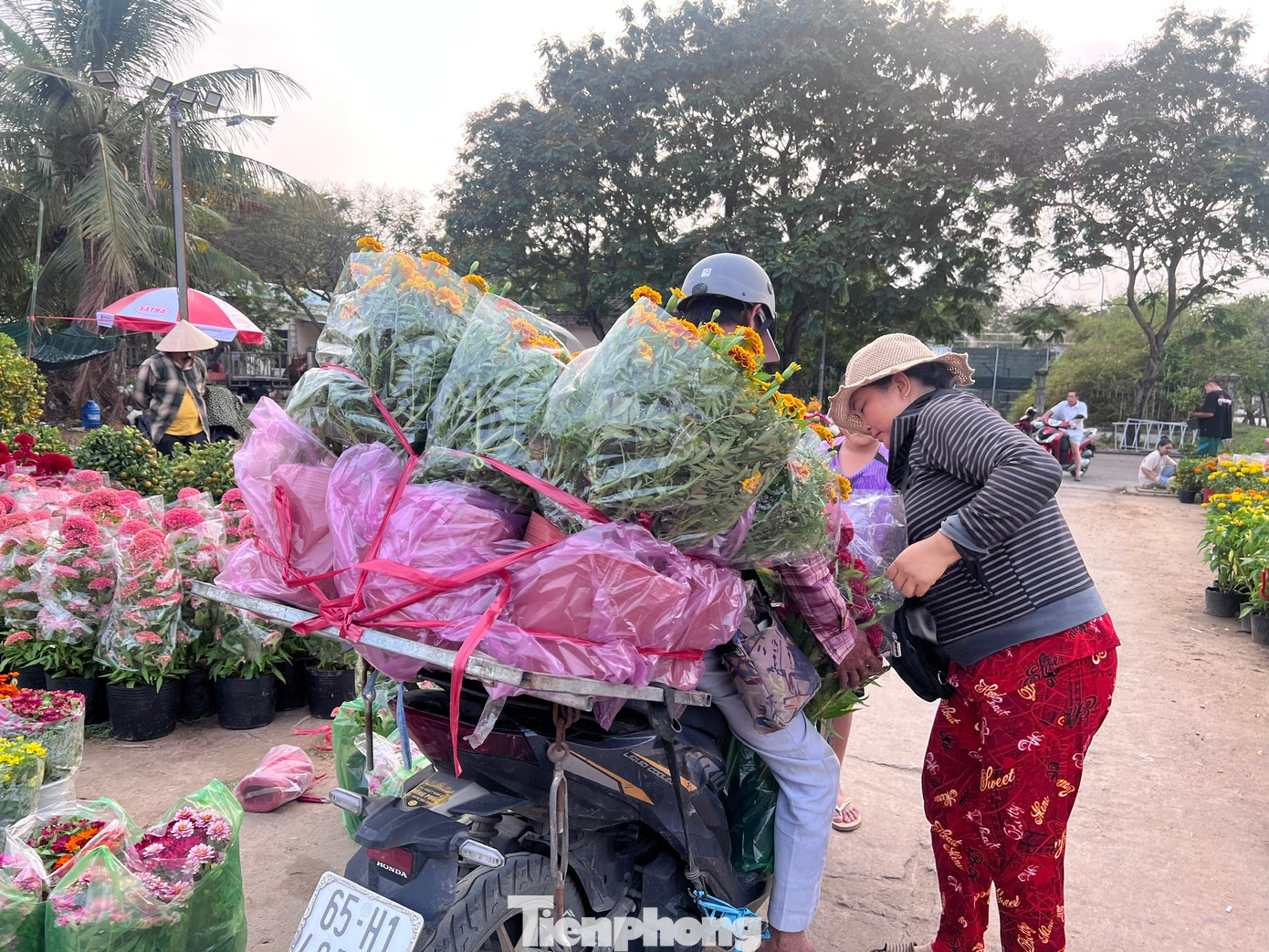 Giá rẻ khó tin: Hoa Tết chỉ 20.000 đồng/chậu ở TPHCM - Ảnh 12