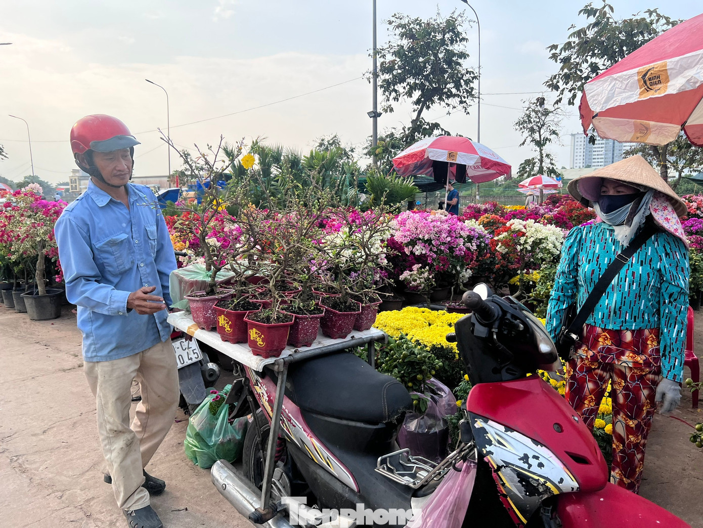 Giá rẻ khó tin: Hoa Tết chỉ 20.000 đồng/chậu ở TPHCM - Ảnh 4