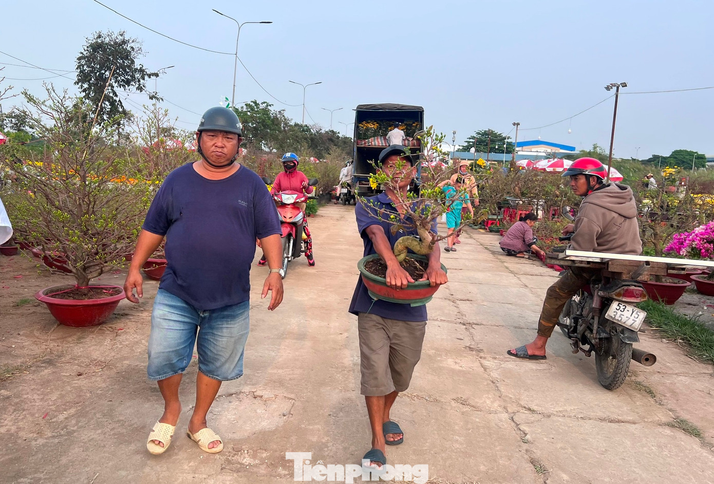 Giá rẻ khó tin: Hoa Tết chỉ 20.000 đồng/chậu ở TPHCM - Ảnh 11