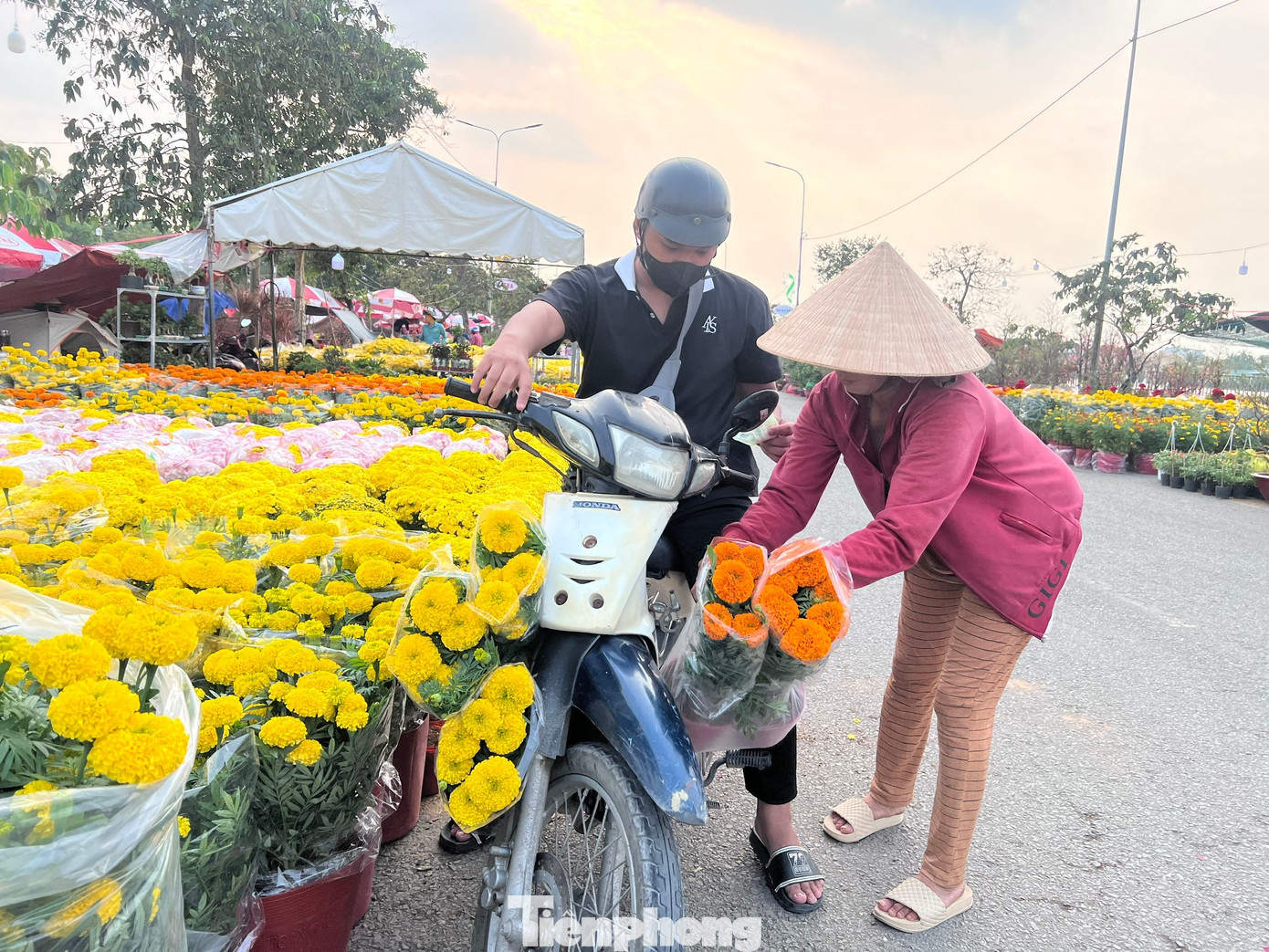 Giá rẻ khó tin: Hoa Tết chỉ 20.000 đồng/chậu ở TPHCM - Ảnh 7