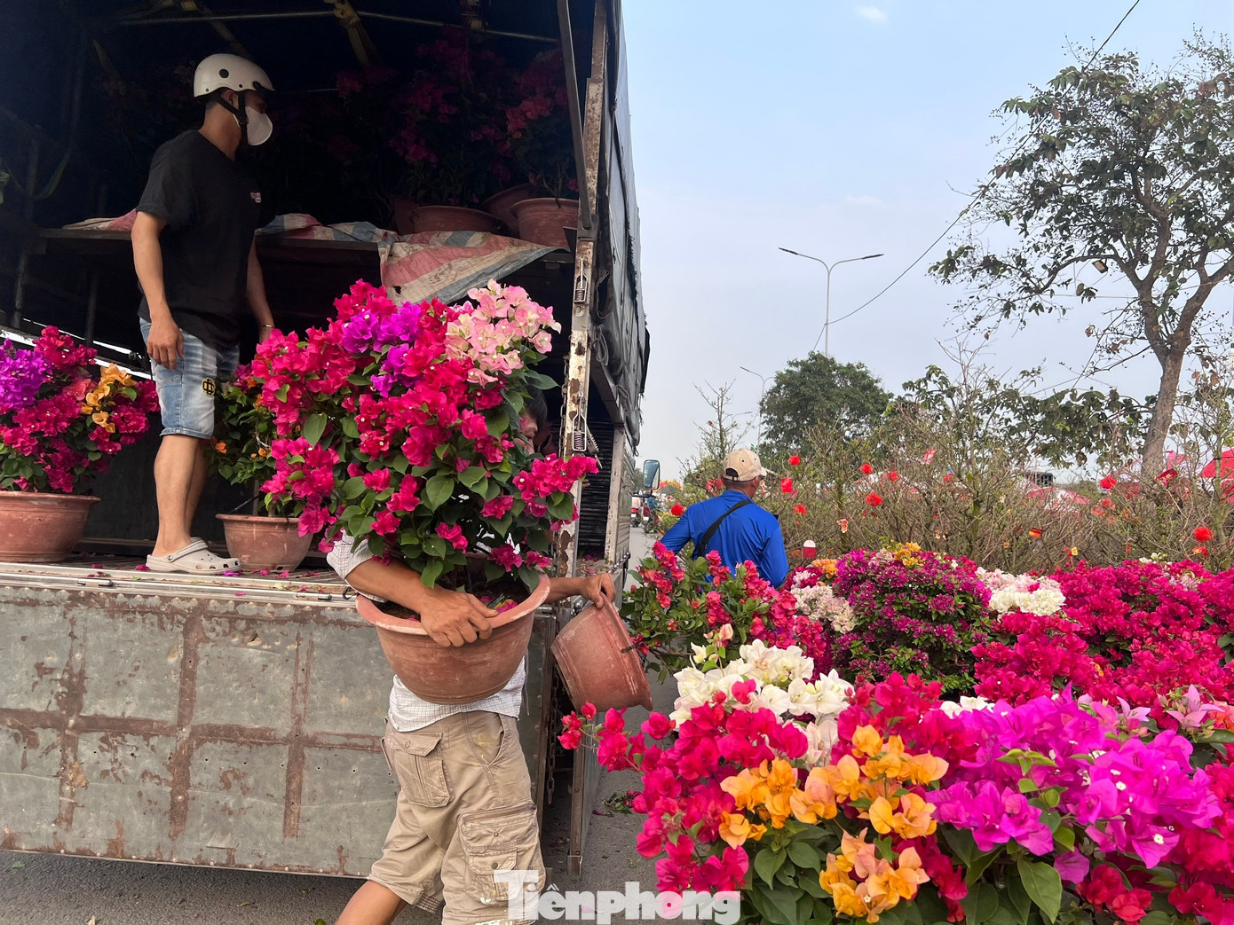 Giá rẻ khó tin: Hoa Tết chỉ 20.000 đồng/chậu ở TPHCM - Ảnh 19