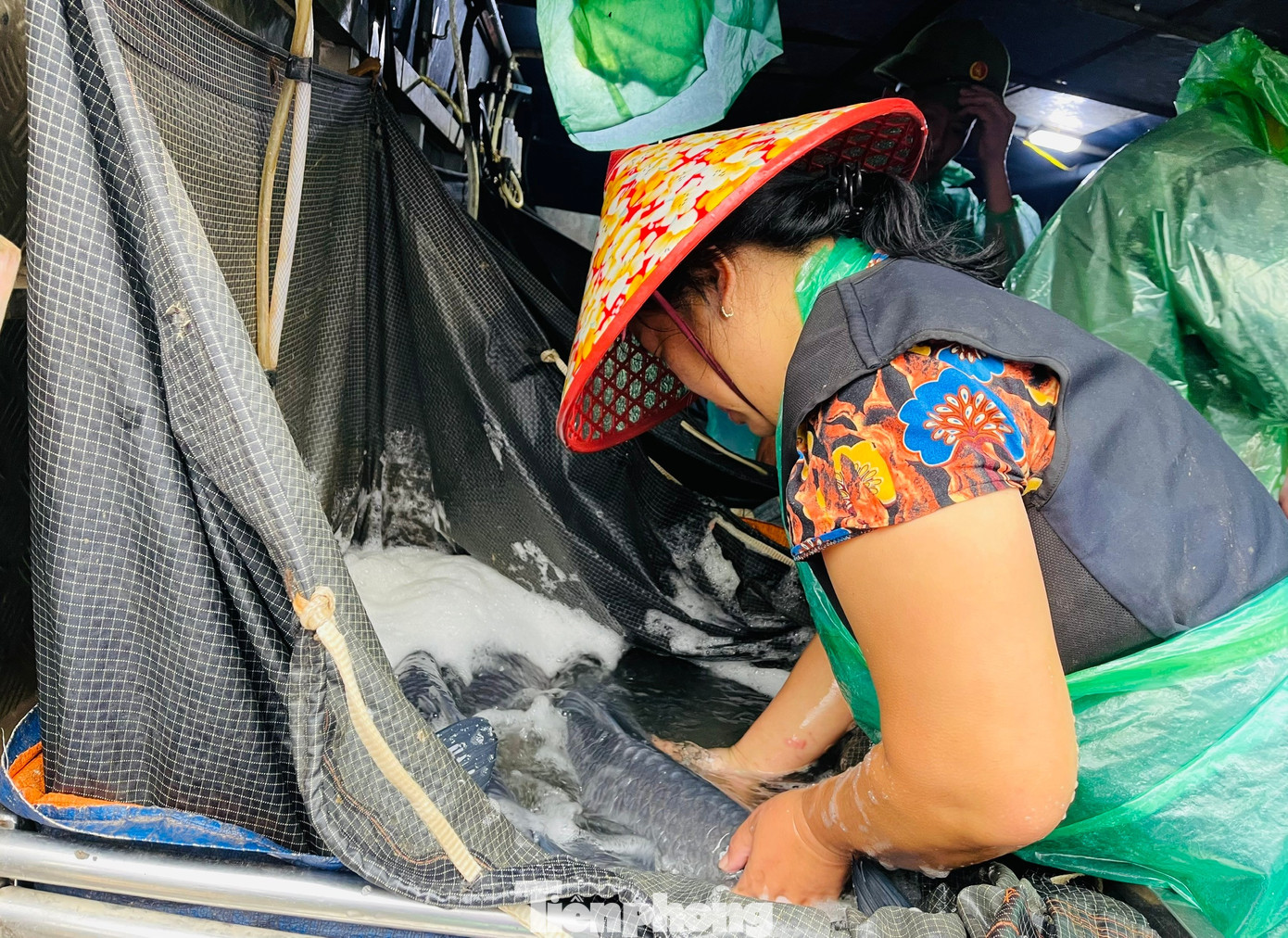 Cá chép tiễn ông Công ông Táo: Giá giảm mạnh, chợ vắng tanh - Ảnh 9