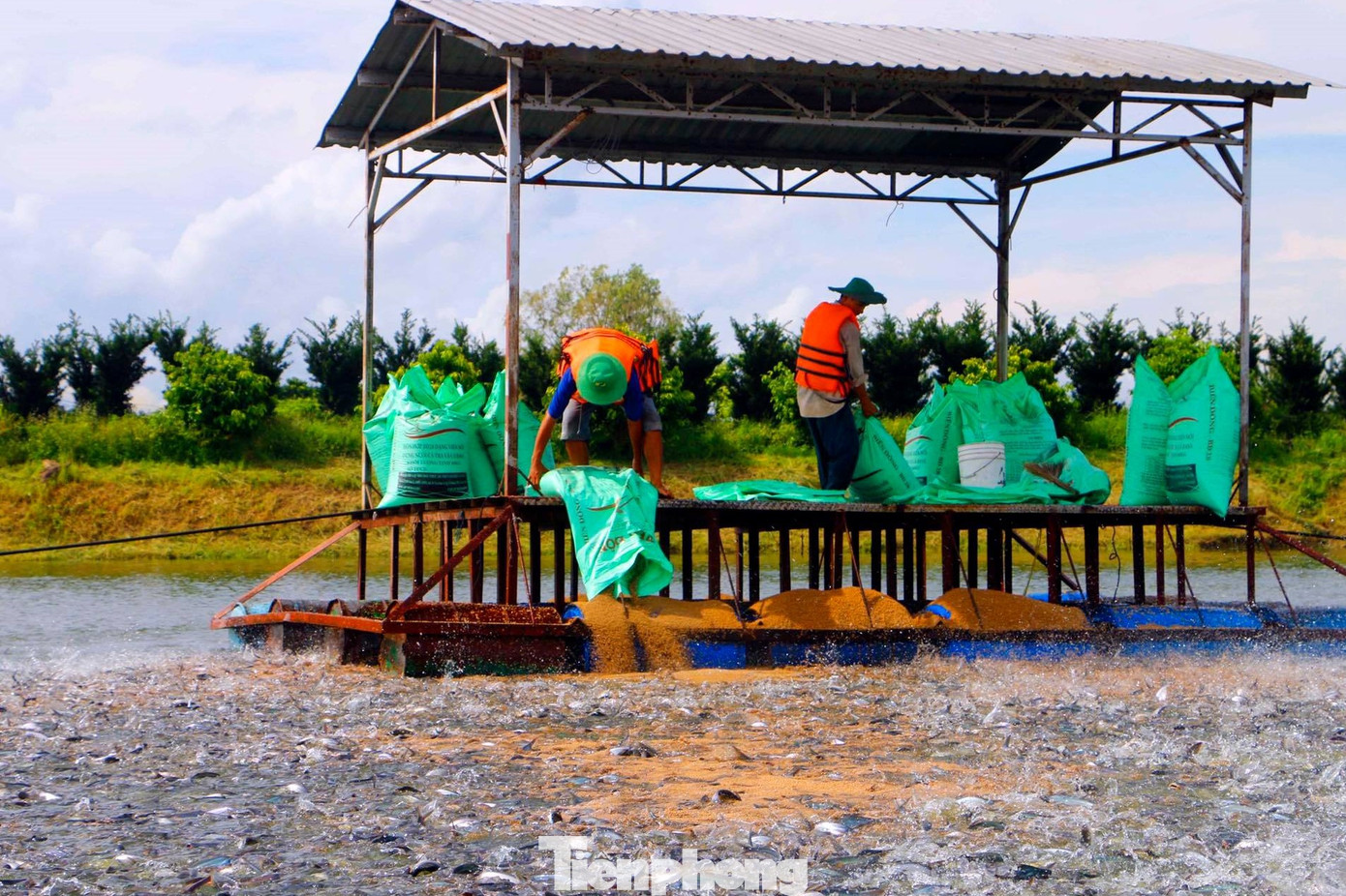 Thấy gì từ kỷ lục xuất khẩu thủy sản 11 tỷ USD? - Ảnh 2