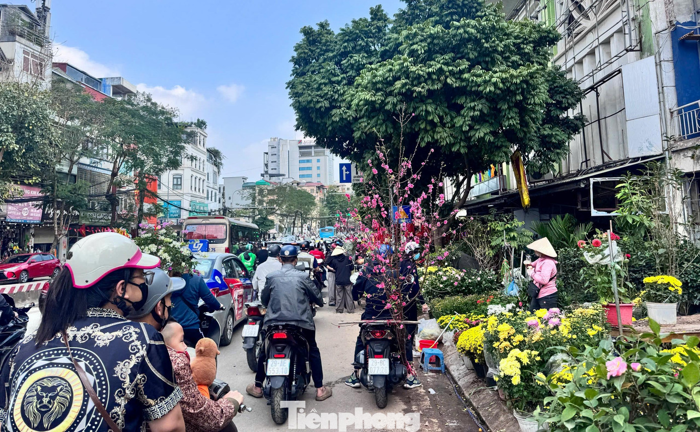 Đào, quất giảm giá sập sàn ngày 29 Tết - Ảnh 13