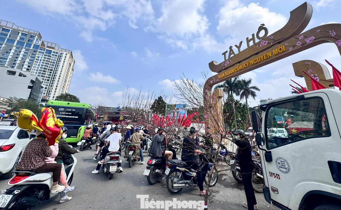 Đào, quất giảm giá sập sàn ngày 29 Tết - Ảnh 5