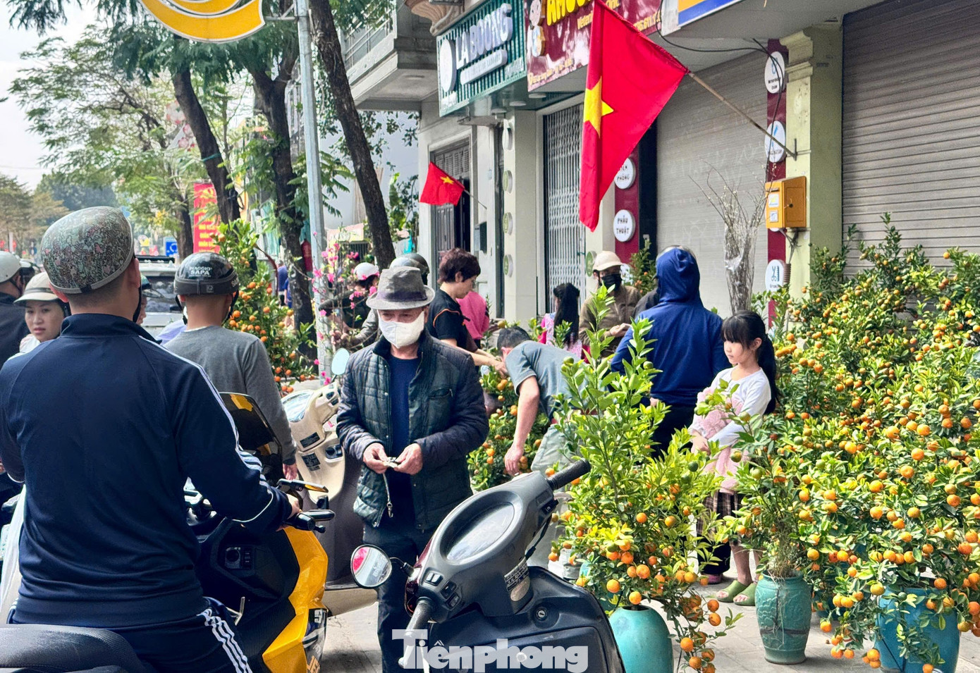 Đào, quất giảm giá sập sàn ngày 29 Tết - Ảnh 6