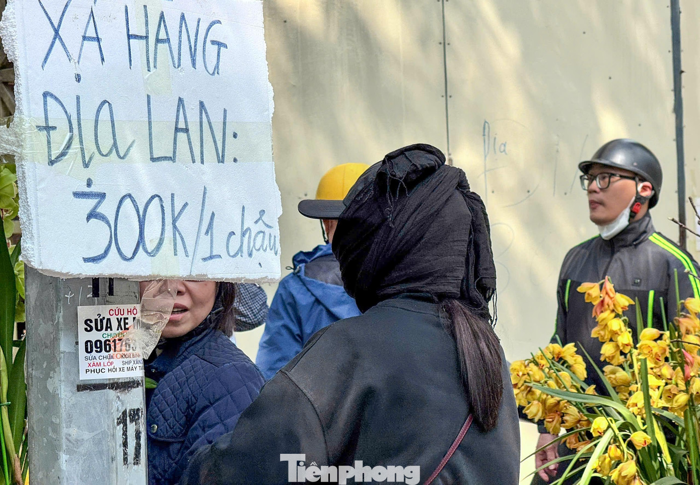 Đào, quất giảm giá sập sàn ngày 29 Tết - Ảnh 11