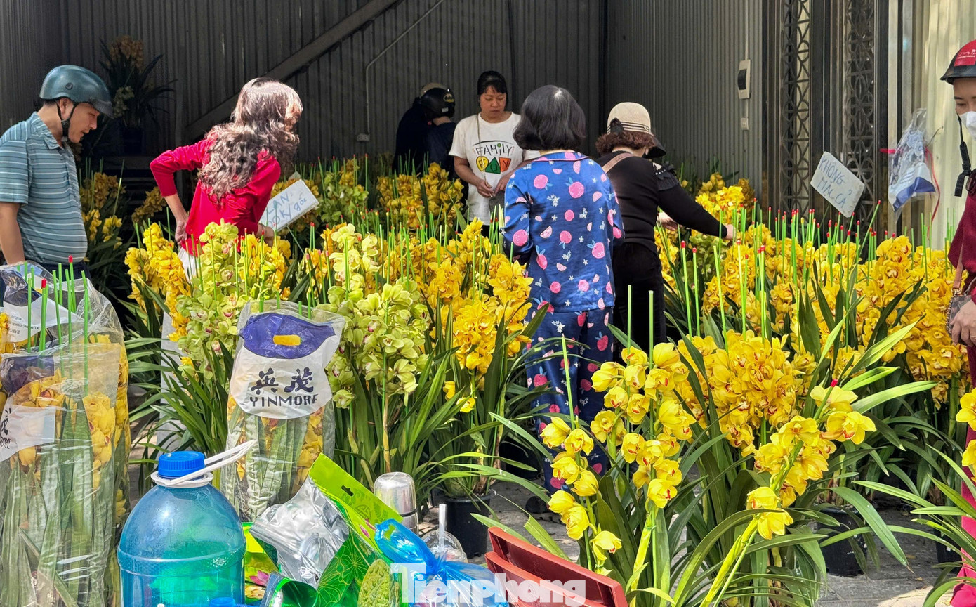 Đào, quất giảm giá sập sàn ngày 29 Tết - Ảnh 10