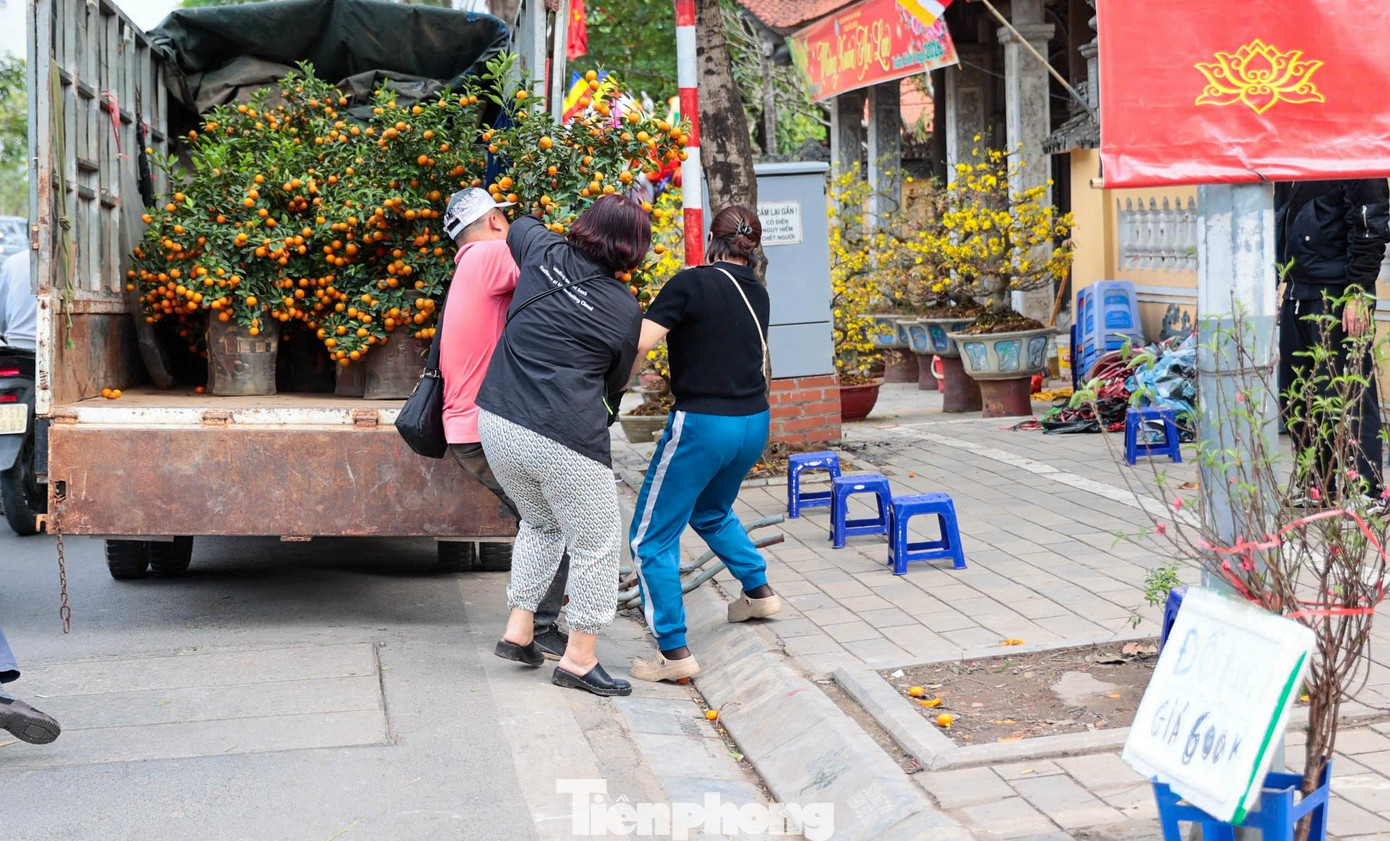 Đào, quất giảm giá sập sàn ngày 29 Tết - Ảnh 8