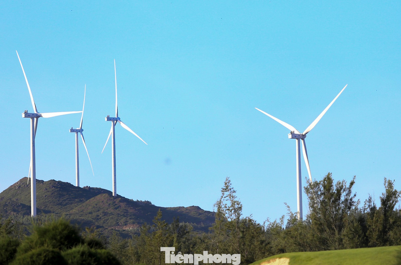 Gia Lai gọi vốn cho 12 dự án năng lượng tái tạo - Ảnh 1