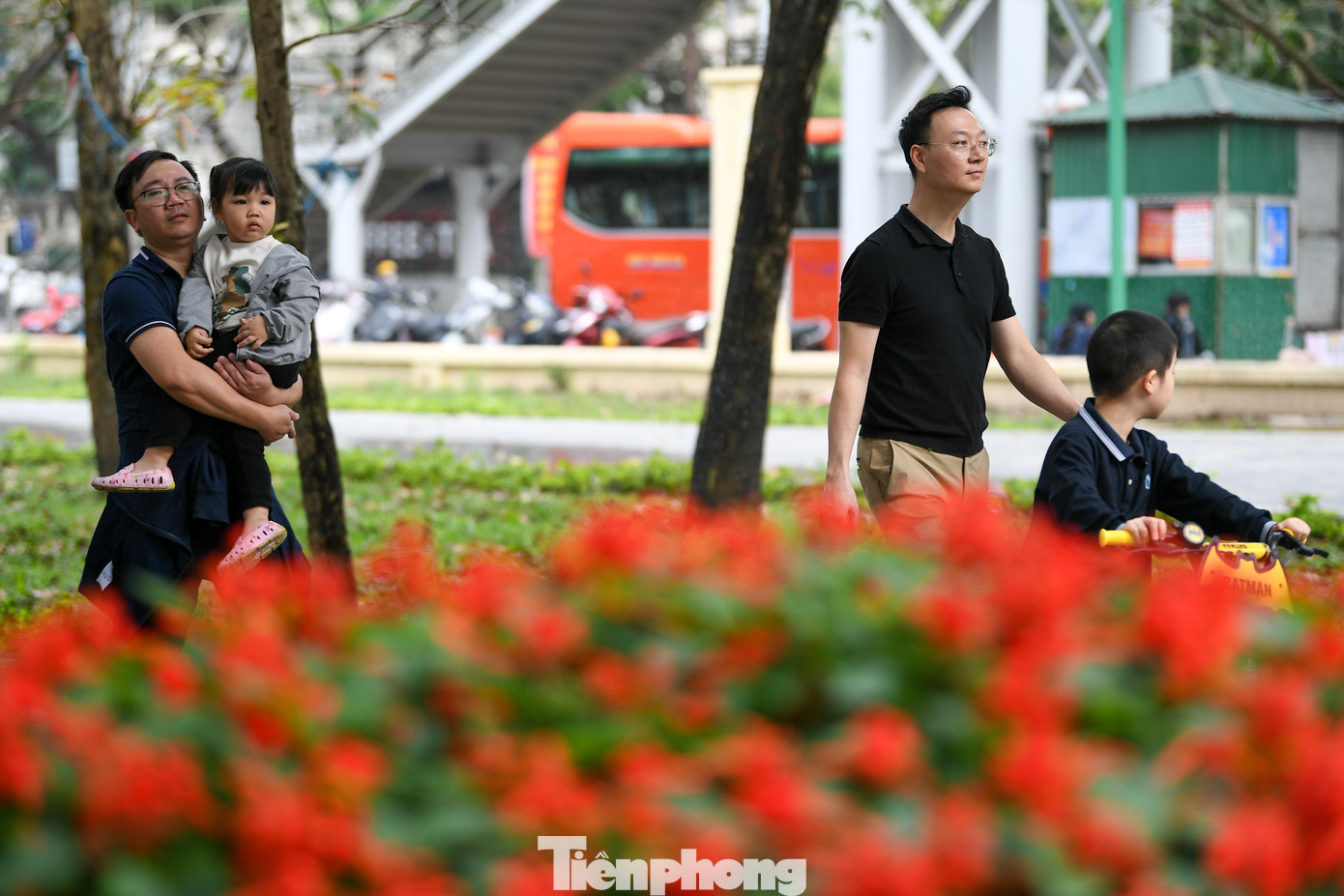 Công viên Hà Nội 'thay da đổi thịt', trang trí rực rỡ đón Xuân - Ảnh 6