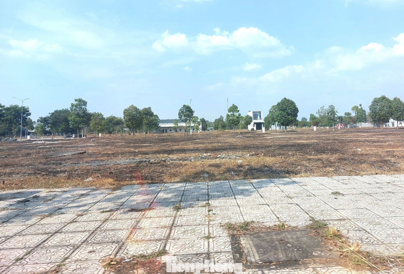 Hiện trạng Khu dân cư từng bố trí đất xây trung tâm chữa bệnh miễn phí cho ‘thần y’ - Ảnh 11