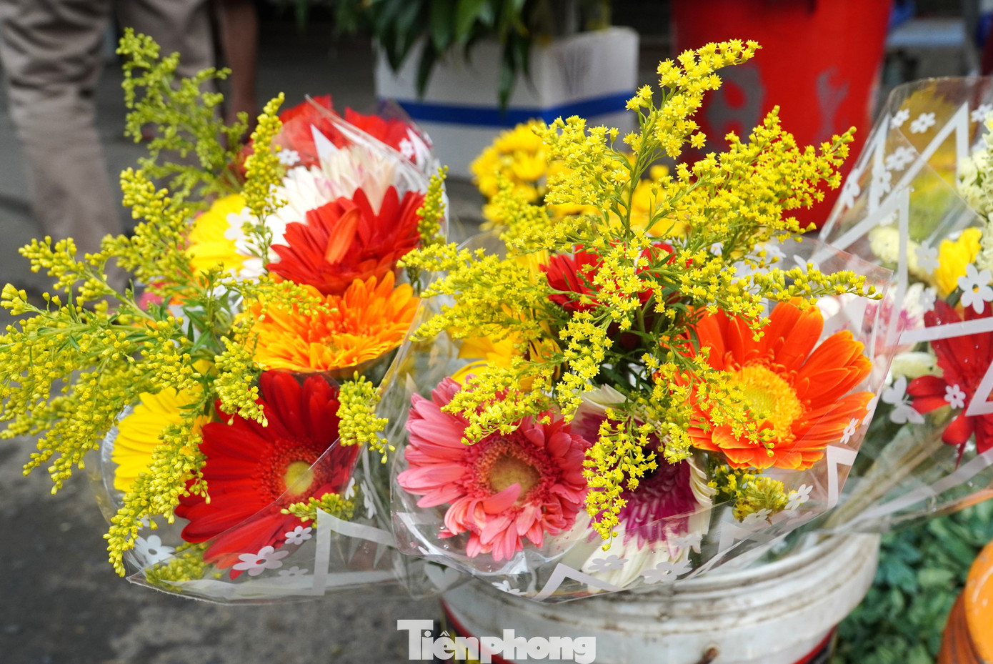 Dậy từ tờ mờ sáng đi mua loại hoa chỉ nghe tên đã nghĩ đến... tiền - Ảnh 3