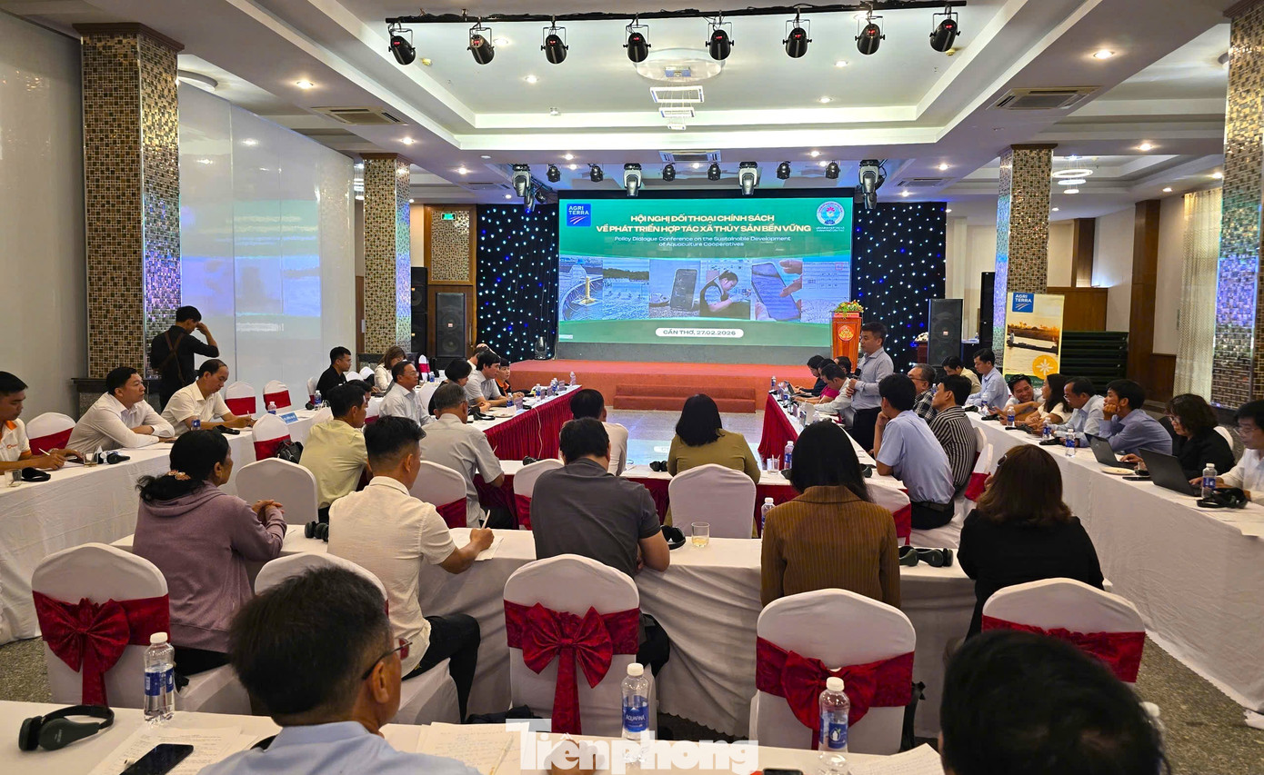 Tiềm ẩn rủi ro 'đứt gãy' thông tin truy xuất thủy sản - Ảnh 2