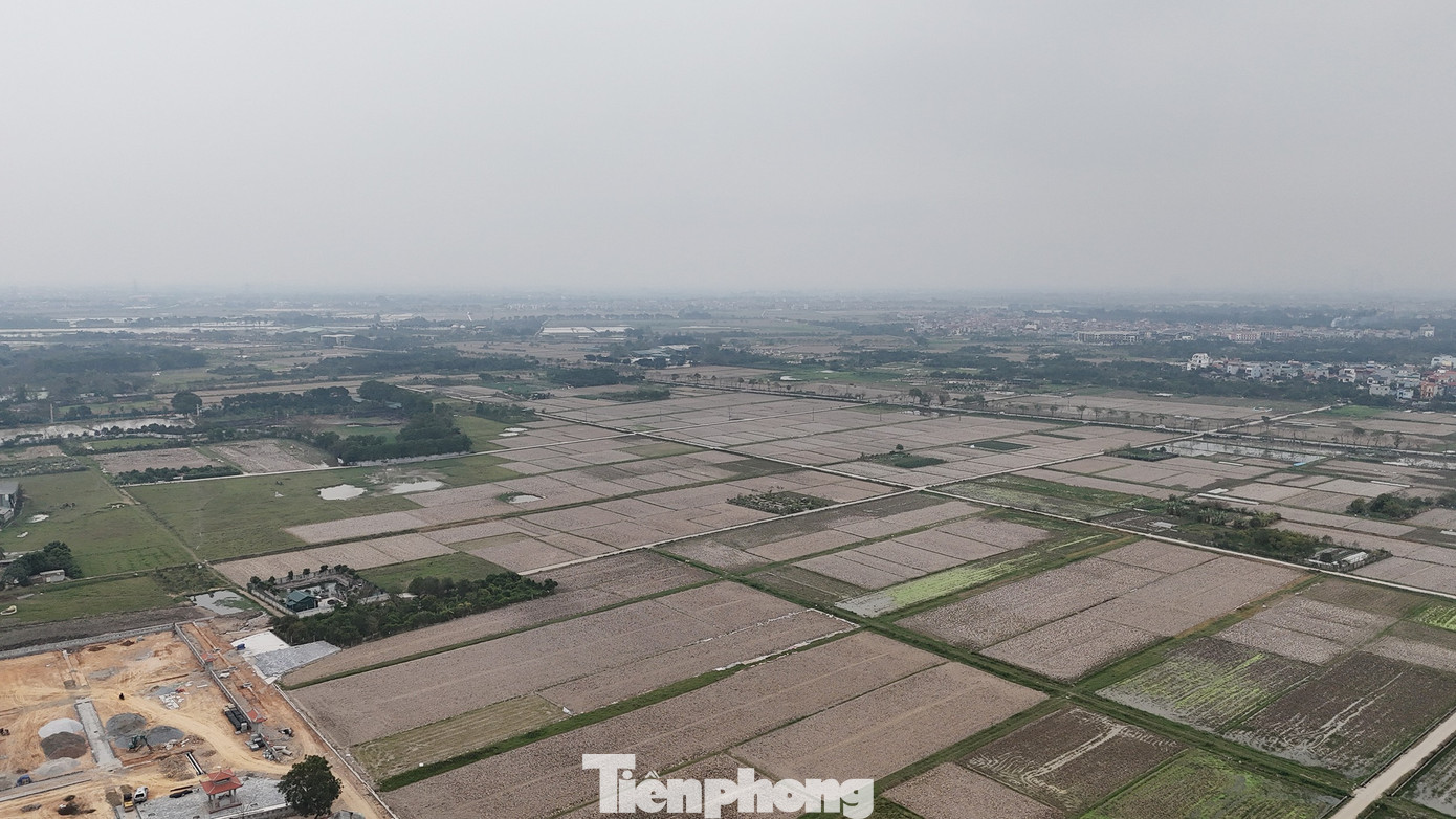 Cận cảnh khu vực làm 3 'siêu đô thị' tái định cư cho Trục đại lộ cảnh quan sông Hồng - Ảnh 12