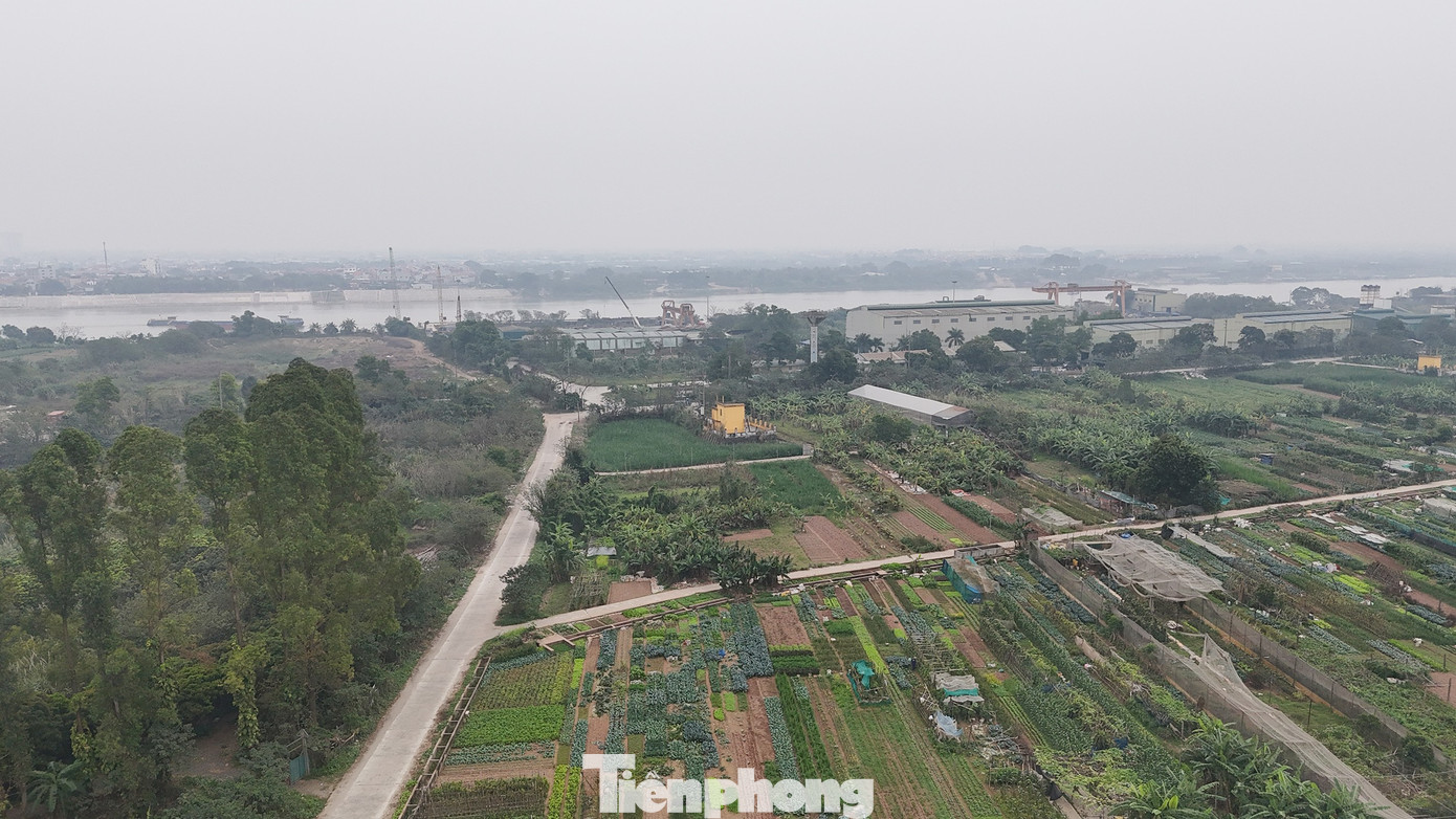 Cận cảnh khu vực làm 3 'siêu đô thị' tái định cư cho Trục đại lộ cảnh quan sông Hồng - Ảnh 6