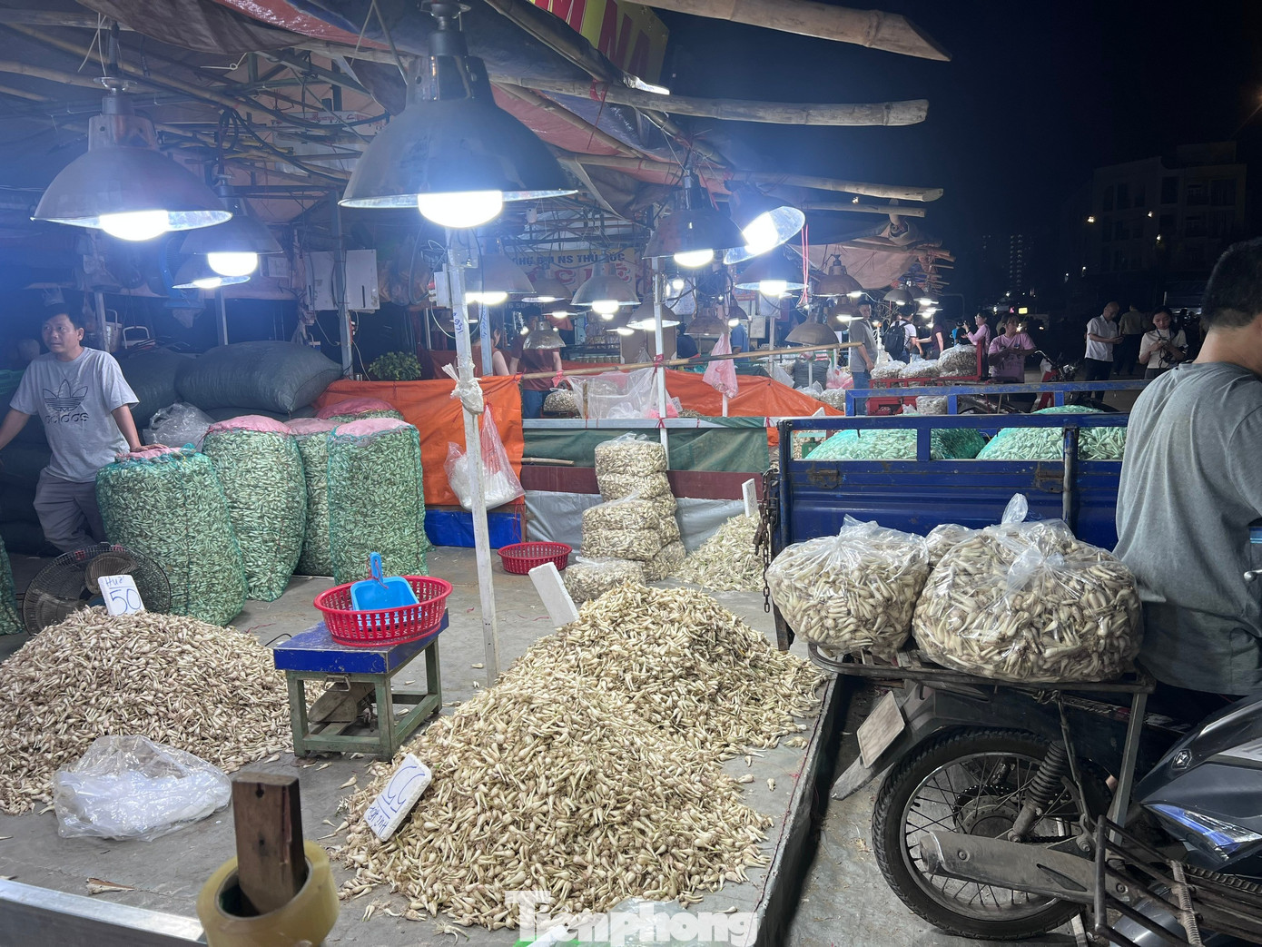 Kiệu Tết được mùa, rớt giá sâu - Ảnh 8