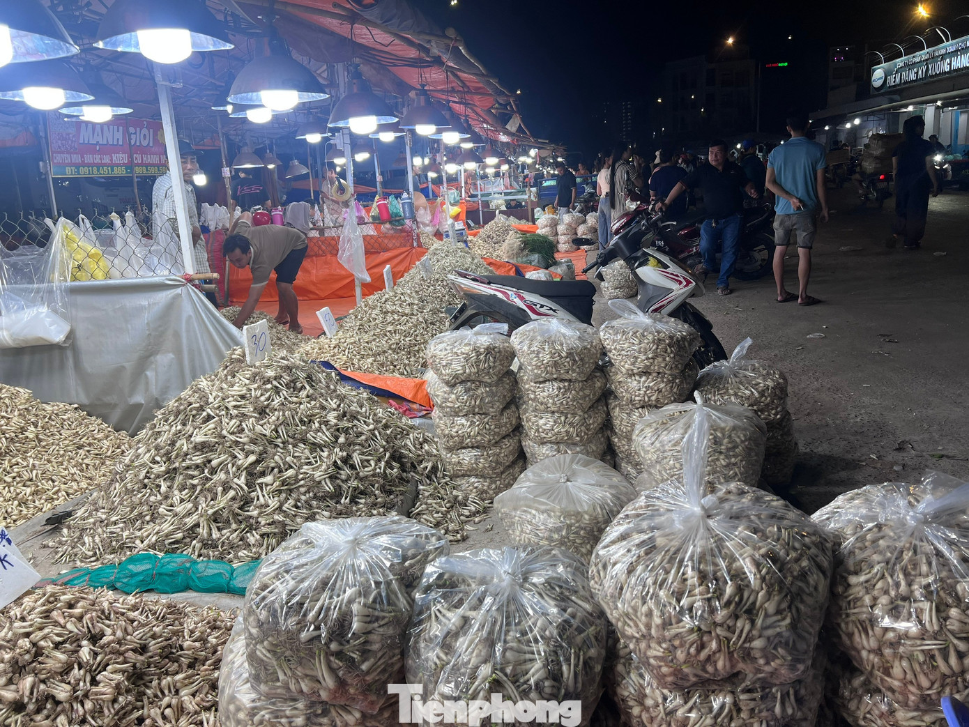 Kiệu Tết được mùa, rớt giá sâu - Ảnh 1