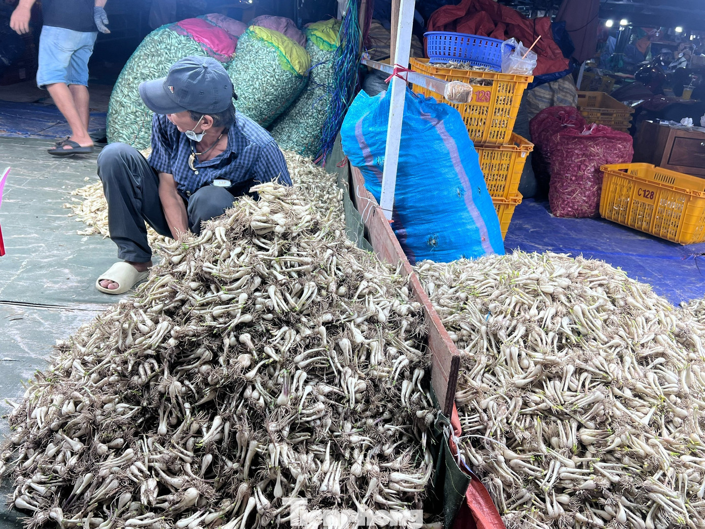 Kiệu Tết được mùa, rớt giá sâu - Ảnh 5