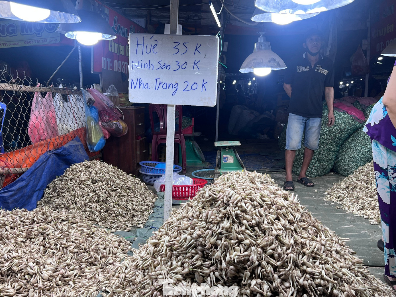 Kiệu Tết được mùa, rớt giá sâu - Ảnh 3