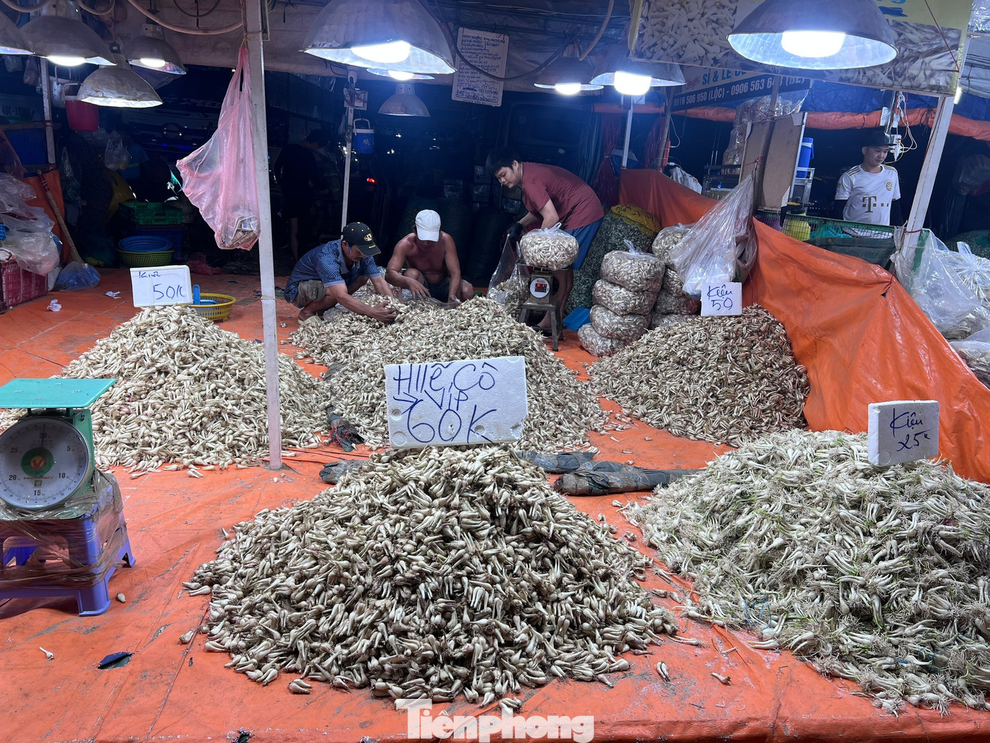 Kiệu Tết được mùa, rớt giá sâu - Ảnh 2