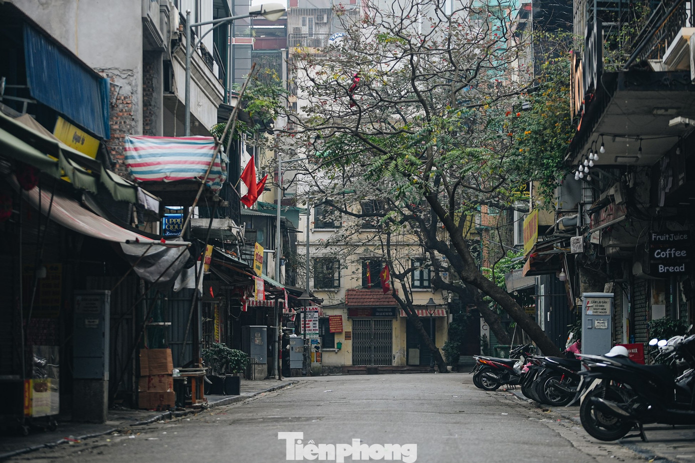 Vẻ đẹp hiếm có của Hà Nội trong buổi sáng đầu năm - Ảnh 25