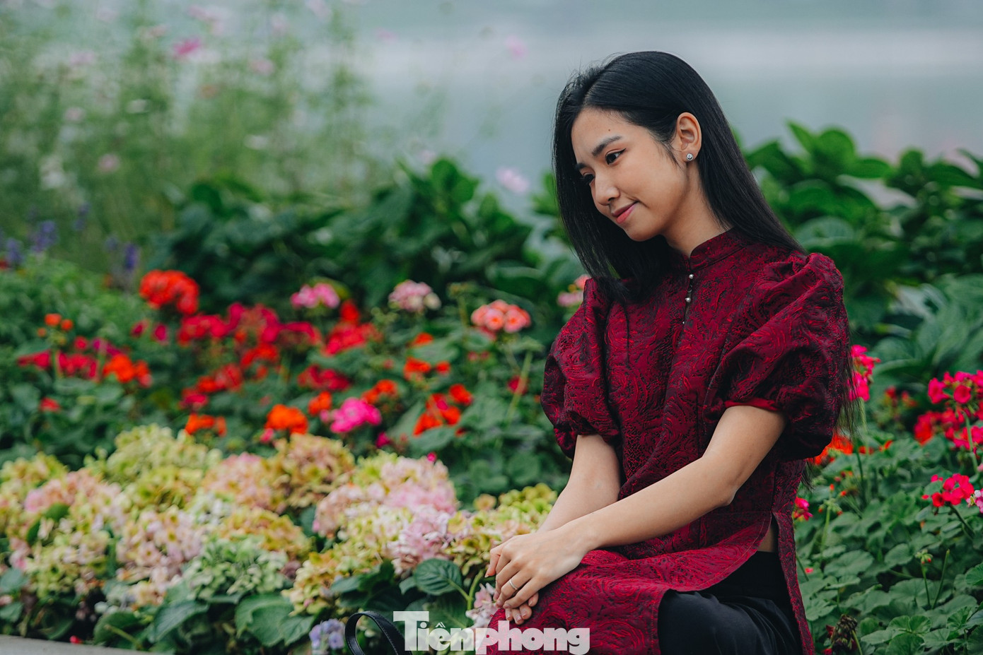 Vẻ đẹp hiếm có của Hà Nội trong buổi sáng đầu năm - Ảnh 35