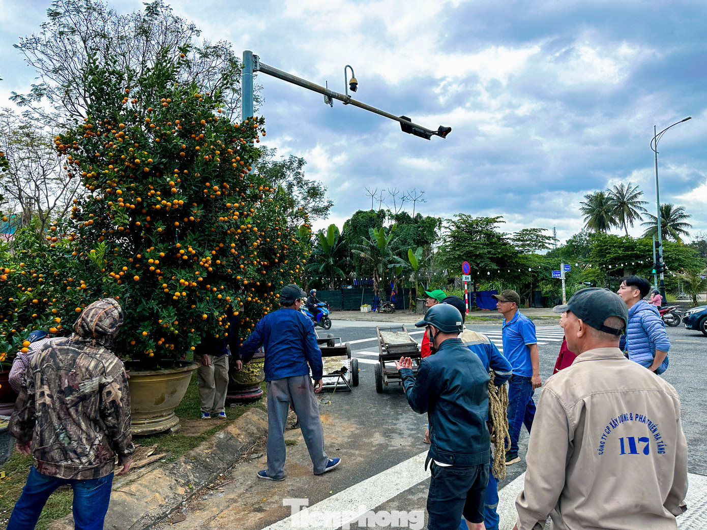 Quất 'khủng' giá hàng chục triệu đồng xuống phố đón Tết - Ảnh 2
