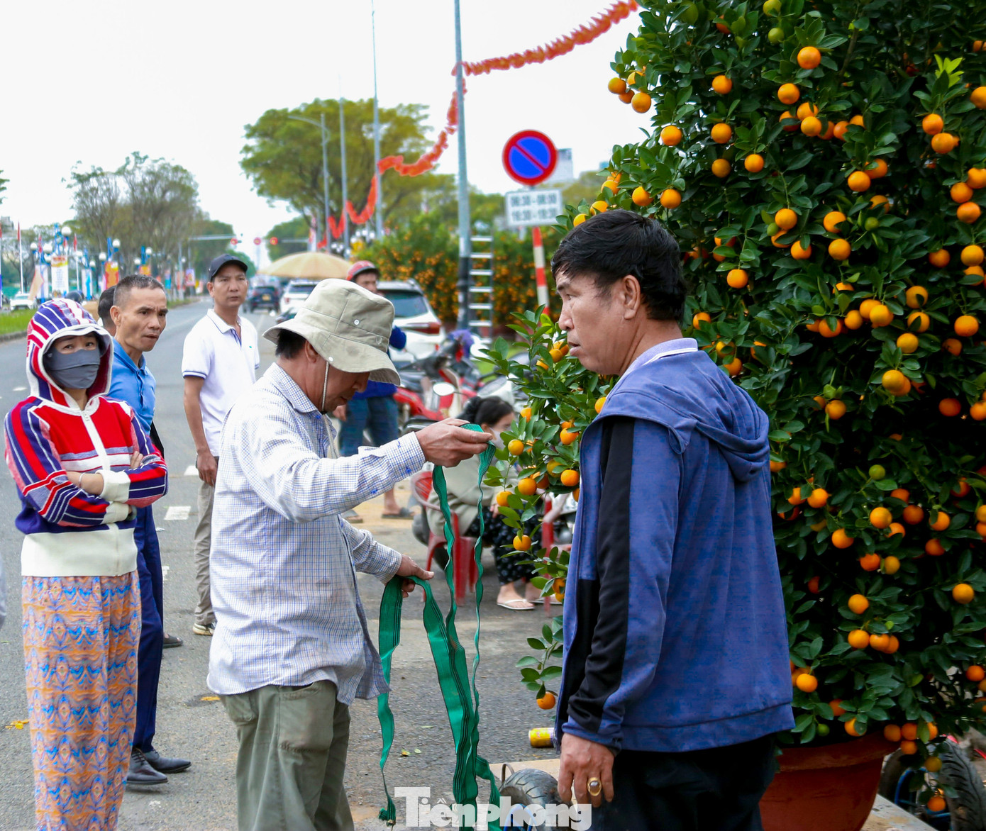 Quất 'khủng' giá hàng chục triệu đồng xuống phố đón Tết - Ảnh 10