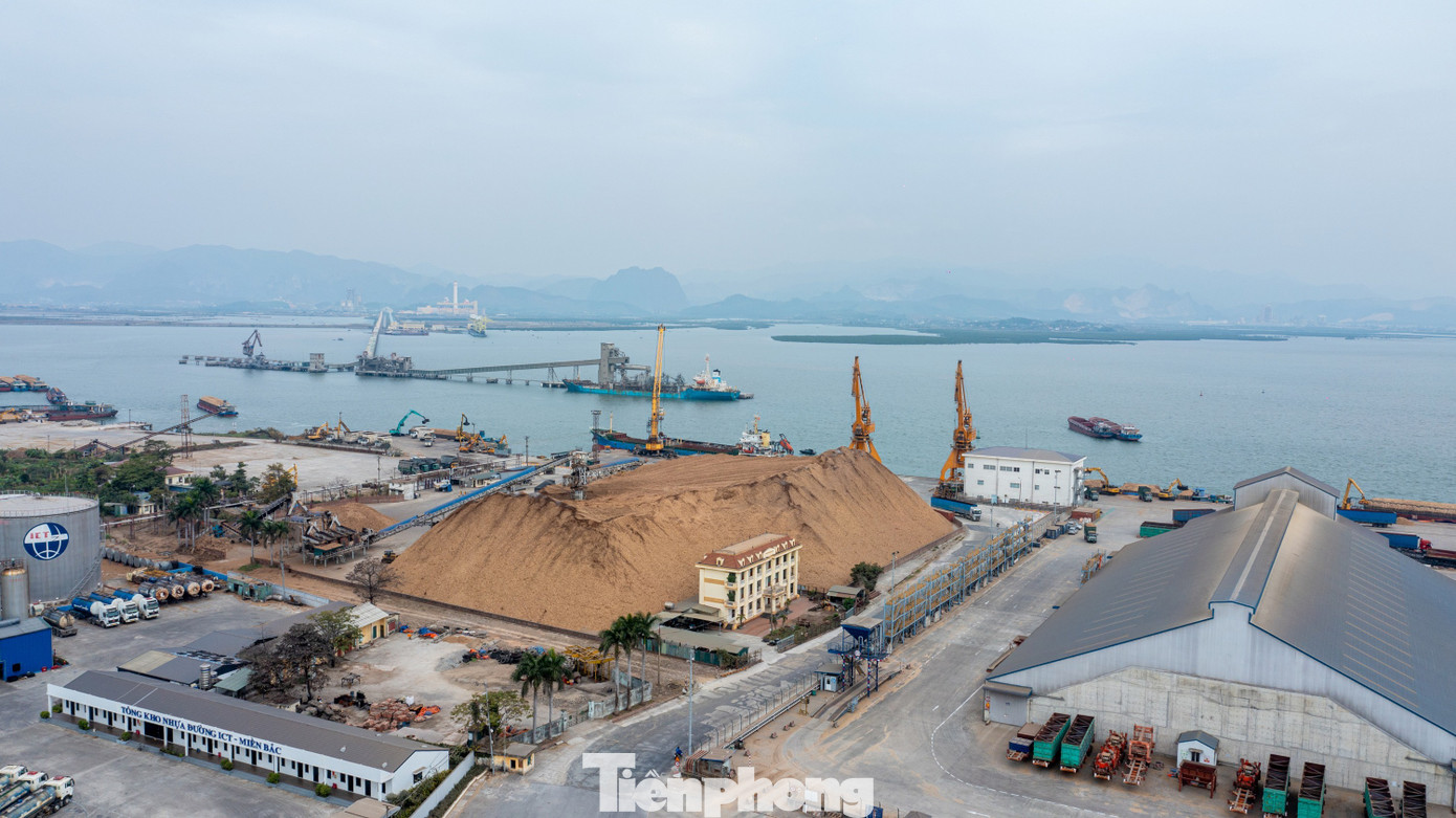 Cận cảnh cảng Cái Lân - Quảng Ninh dự kiến hoán cải công năng - Ảnh 11