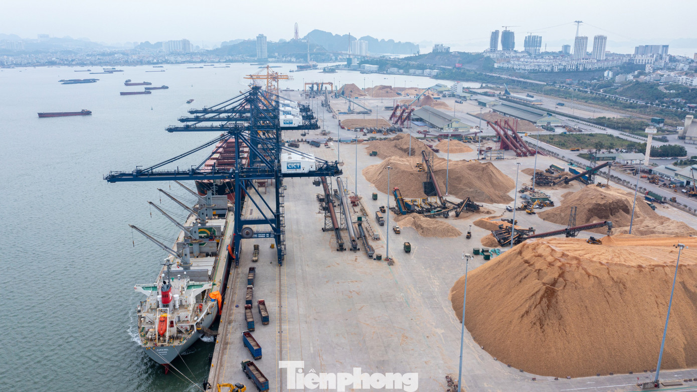 Cận cảnh cảng Cái Lân - Quảng Ninh dự kiến hoán cải công năng - Ảnh 2