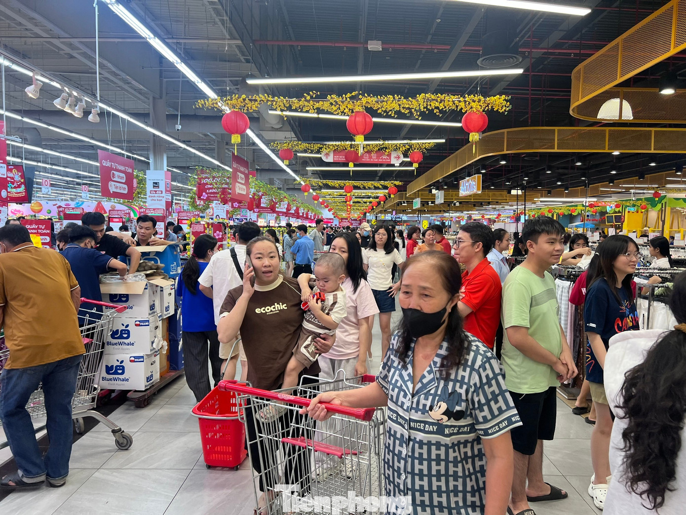 Nửa đêm, siêu thị vẫn ken đặc người mua sắm Tết - Ảnh 2