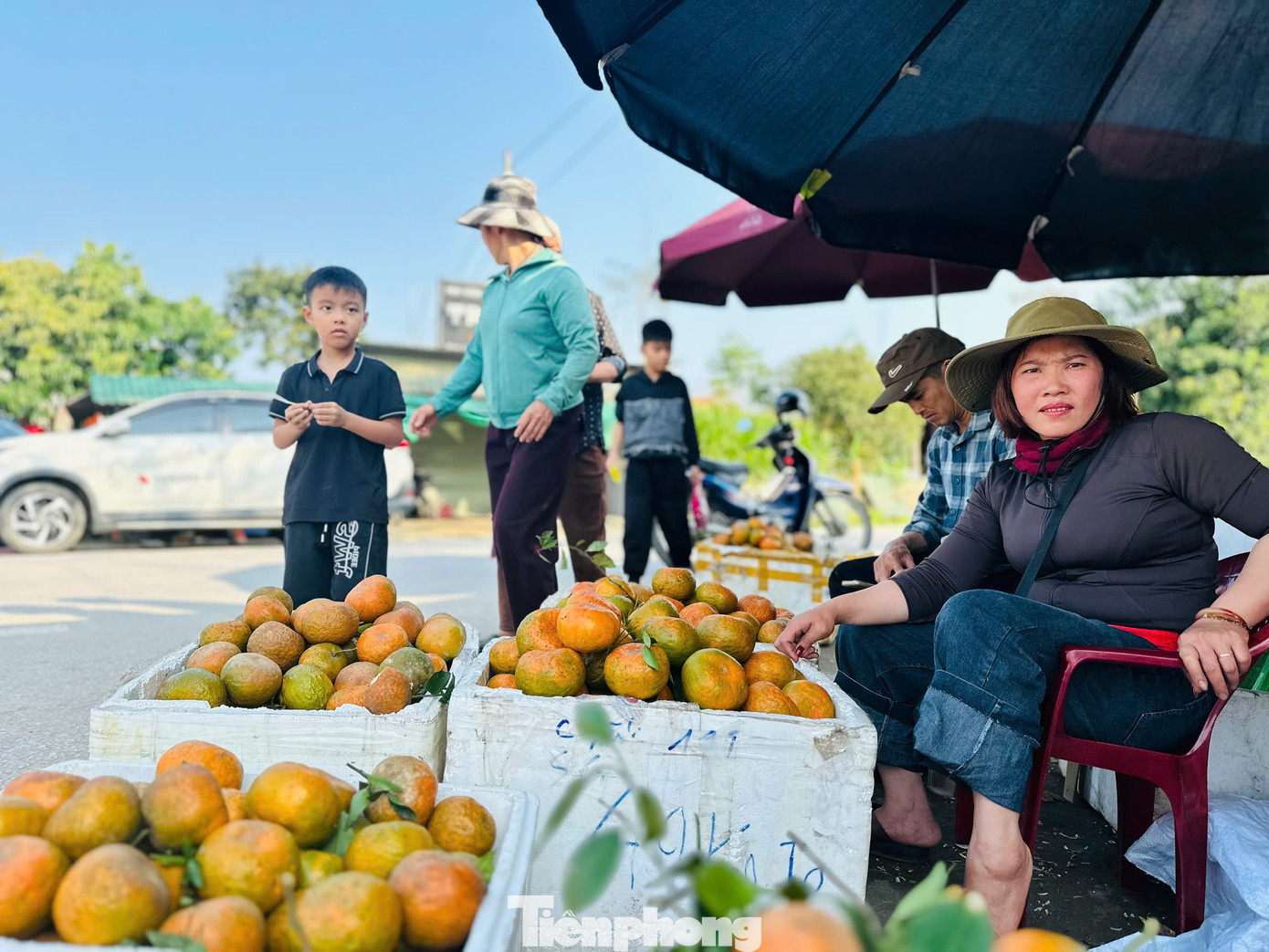 Cả xã nhộn nhịp thu hoạch cam bù ngày Tết - Ảnh 6