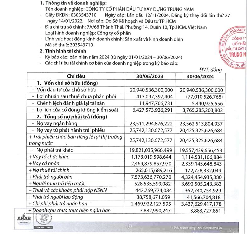 Một công ty điện gió thuộc Trung Nam Group tăng vốn gấp 68 lần - Ảnh 1