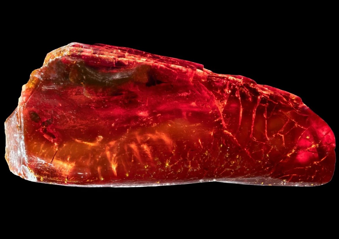 Sưu tập hổ phách, đại thi hào Đức "nhốt" sinh vật 40 triệu tuổi mà không hay - Ảnh 1