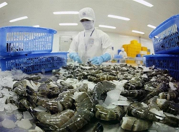 Mỹ giảm mạnh thuế chống bán phá giá với tôm Việt - Ảnh 1