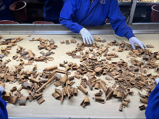 Bị gọi là “điên” vì làm hữu cơ, CEO Vinasamex Nguyễn Thị Huyền bắt tay nông dân nâng thu nhập lên 120-150 triệu đồng/ha quế hồi, nuôi tham vọng IPO - Ảnh 7