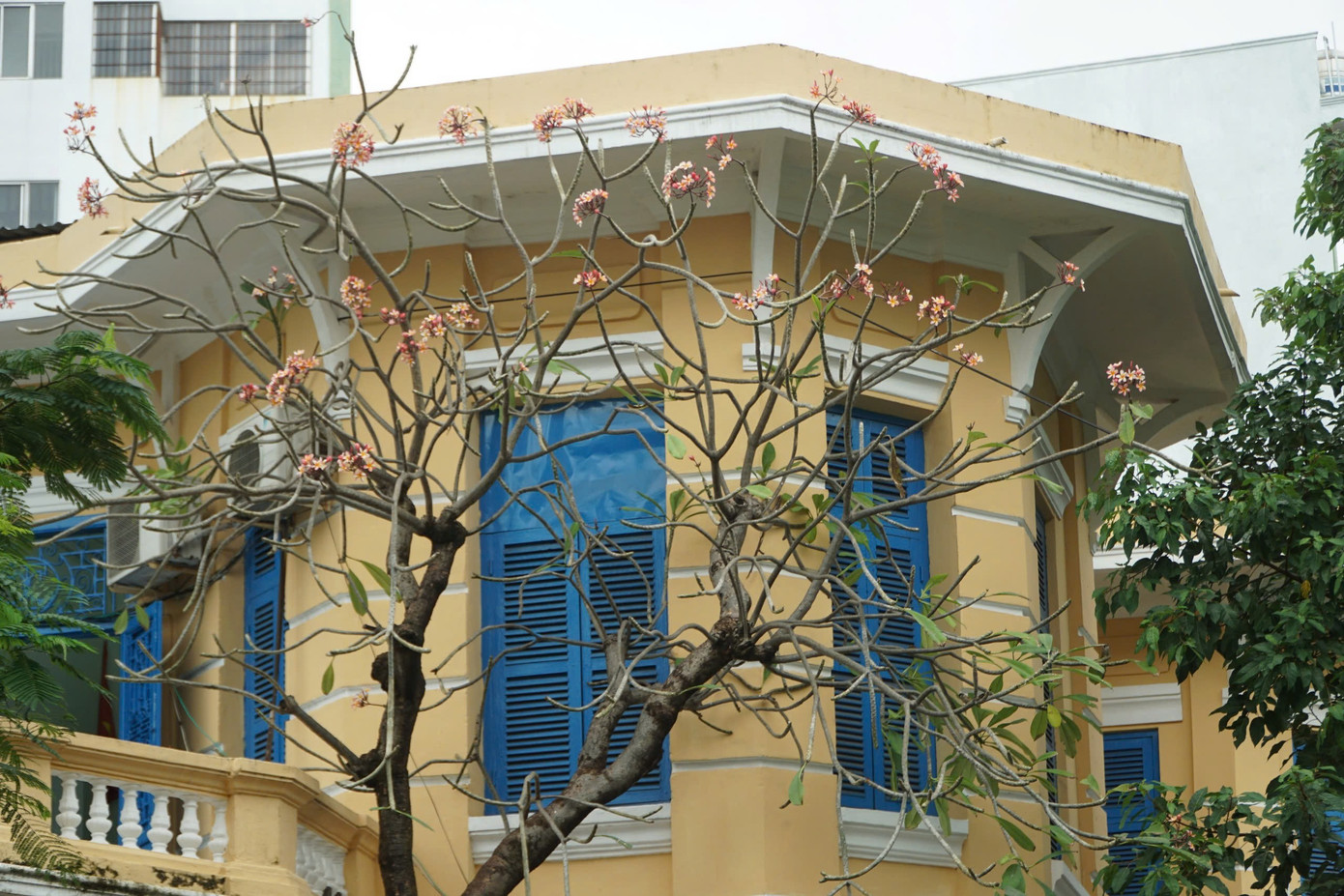 Chiêm ngưỡng các công trình dấu ấn kiến trúc Pháp ở Nha Trang - Ảnh 13