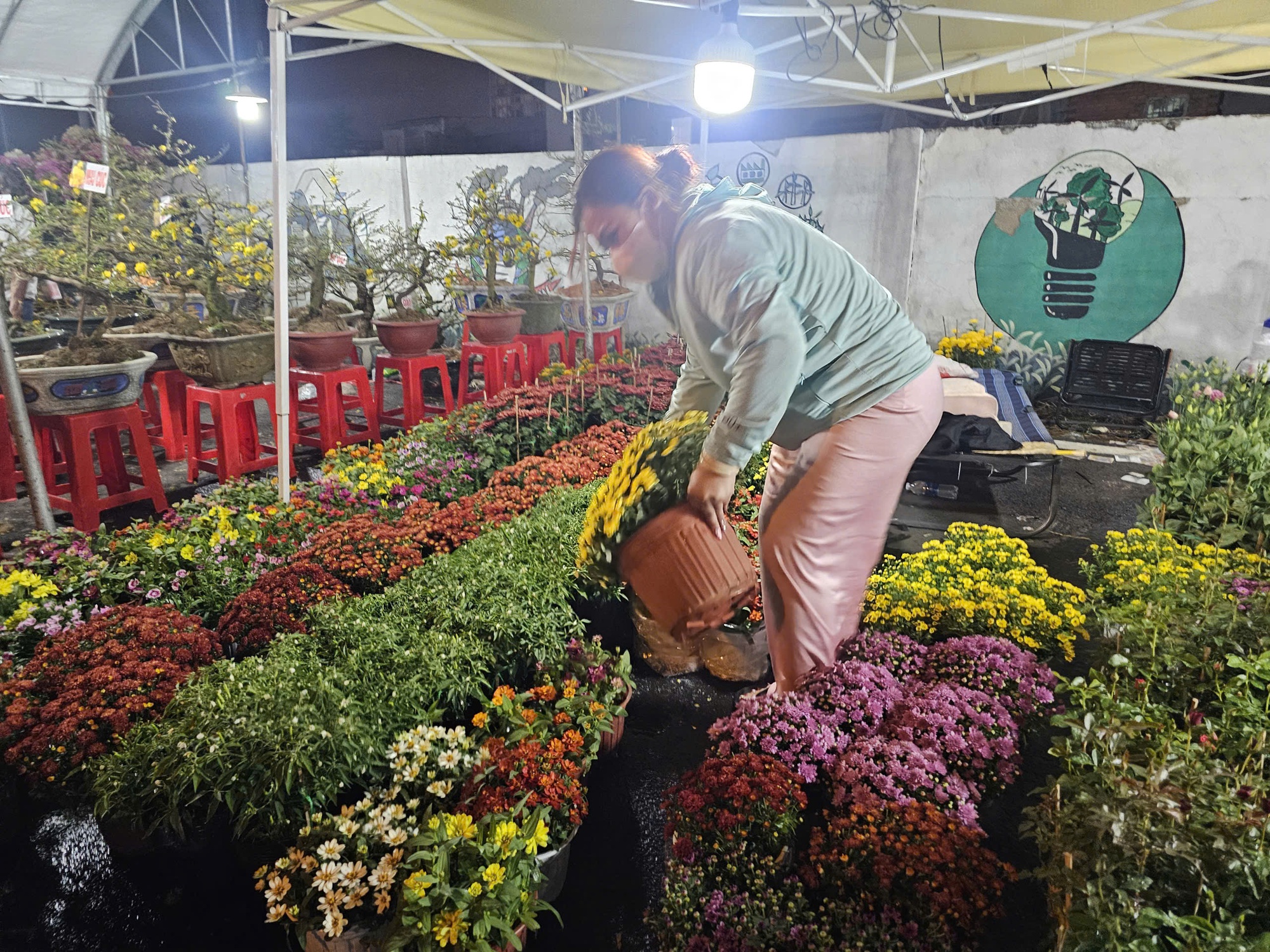 Hoa Tết giá rẻ 50.000 - 100.000 đồng/chậu cháy hàng - Ảnh 1